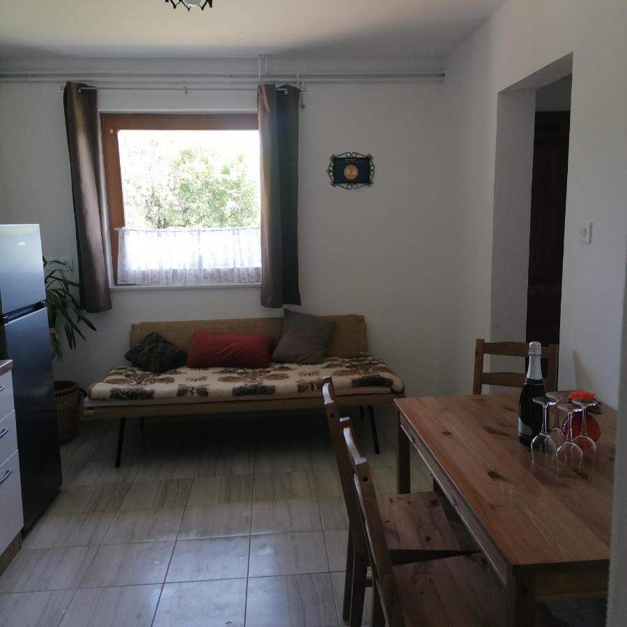 Apartmaji Borstner Vransko Exterior foto